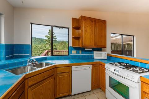 25988 Hawk Ter, Willits, CA 95490 photo 10