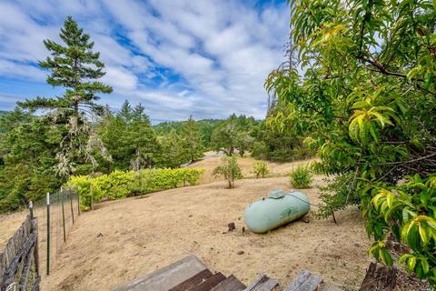 25988 Hawk Ter, Willits, CA 95490 photo 24