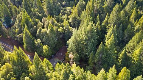 25650 Poppy Dr, Willits, CA 95490 photo 29