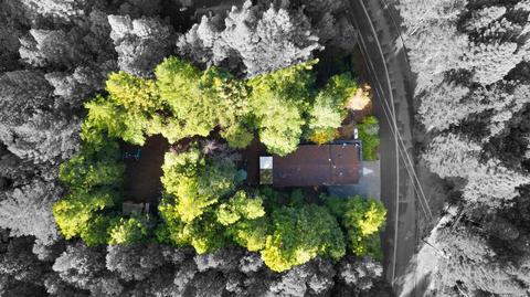 25650 Poppy Dr, Willits, CA 95490 photo 25