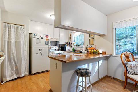 25650 Poppy Dr, Willits, CA 95490 photo 15