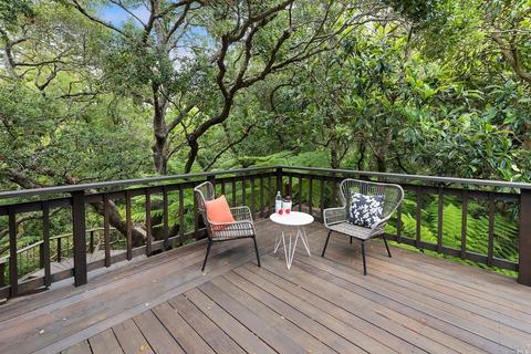 114 Hazel Ave, Mill Valley, CA 94941 photo 23