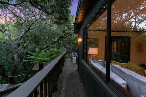 114 Hazel Ave, Mill Valley, CA 94941 photo 59