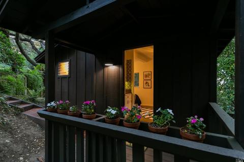 114 Hazel Ave, Mill Valley, CA 94941 photo 63