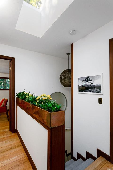 114 Hazel Ave, Mill Valley, CA 94941 photo 30