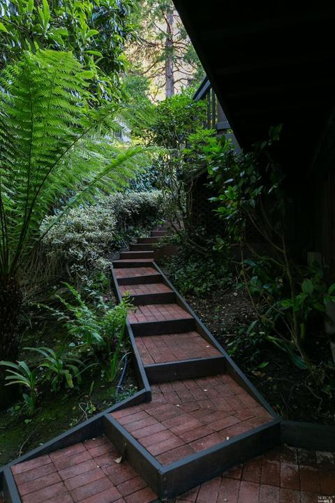 114 Hazel Ave, Mill Valley, CA 94941 photo 60
