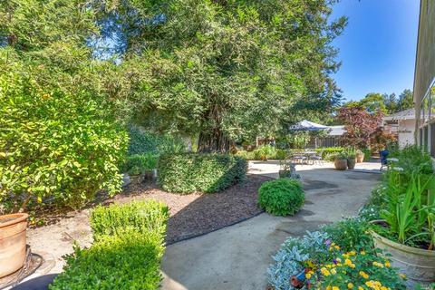 505 Webber St, Napa, CA 94559 photo 50