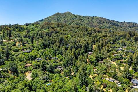 65 Upland Rd, Kentfield, CA 94904 photo 81
