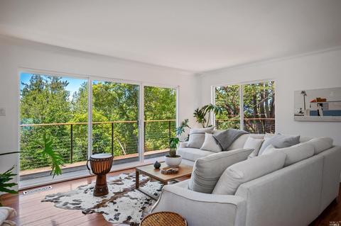 50 Mono Way, Mill Valley, CA 94941 photo 10