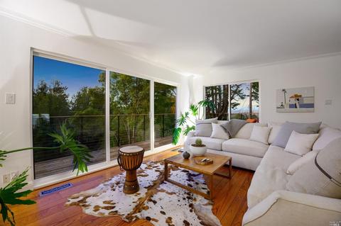 50 Mono Way, Mill Valley, CA 94941 photo 65