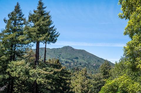 50 Mono Way, Mill Valley, CA 94941 photo 3