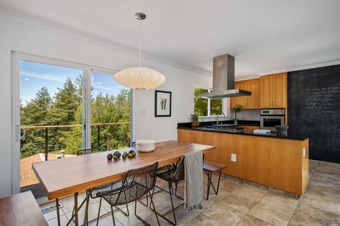 50 Mono Way, Mill Valley, CA 94941 photo 24