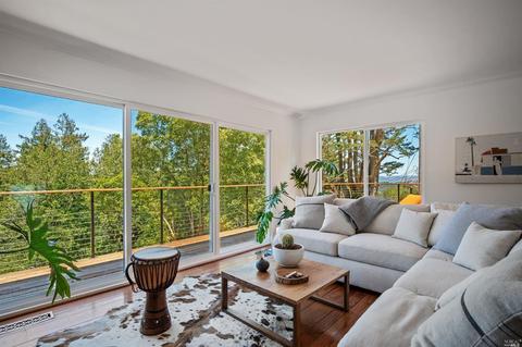 50 Mono Way, Mill Valley, CA 94941 photo 11