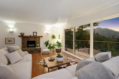 50 Mono Way, Mill Valley, CA 94941 photo 66
