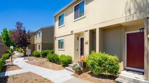 7 Oak Crest Ct #E, Novato, CA 94947 photo 31