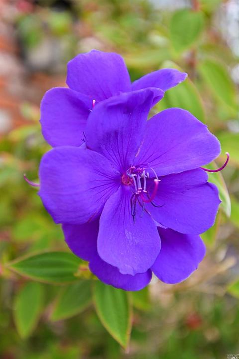 101 Combs Ln, Vallejo, CA 94590 photo 61
