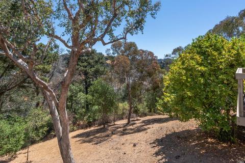 5 Thoreau Cir, Mill Valley, CA 94941 photo 29