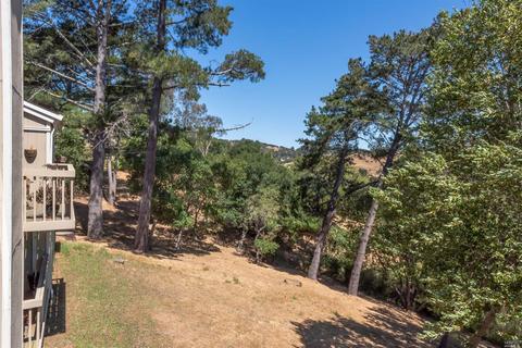 5 Thoreau Cir, Mill Valley, CA 94941 photo 30