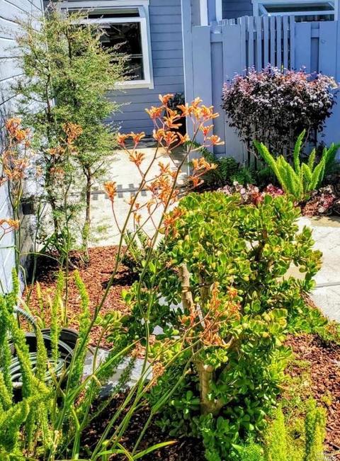 1728 Devonshire Dr, Benicia, CA 94510 photo 23