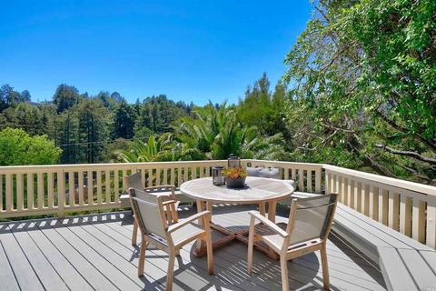 25 Coronet Ave, Mill Valley, CA 94941 photo 24