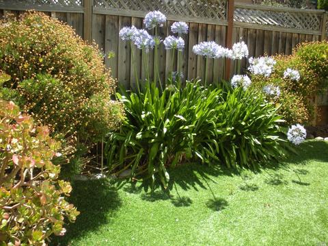 628 Daniels Ave, Vallejo, CA 94590 photo 43