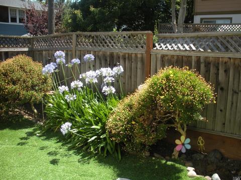 628 Daniels Ave, Vallejo, CA 94590 photo 40