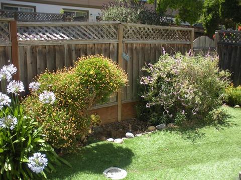 628 Daniels Ave, Vallejo, CA 94590 photo 39