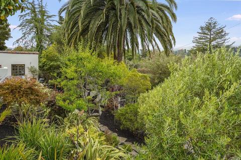 10 Elinor Ave, Mill Valley, CA 94941 photo 48