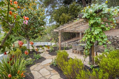 10 Elinor Ave, Mill Valley, CA 94941 photo 38