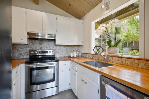 93 Rocca Dr, Fairfax, CA 94930 photo 15