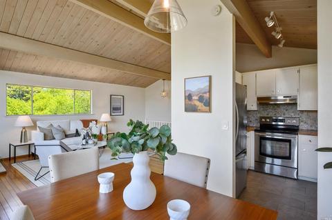 93 Rocca Dr, Fairfax, CA 94930 photo 14