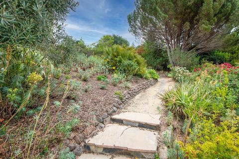 185 Roque Moraes Dr, Mill Valley, CA 94941 photo 32
