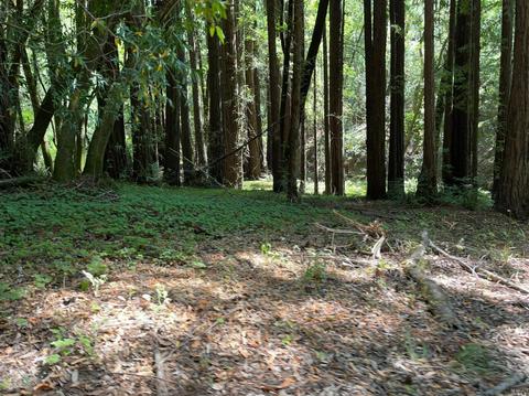 11050 Westside Rd, Healdsburg, CA 95448 photo 10