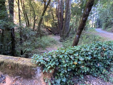 11050 Westside Rd, Healdsburg, CA 95448 photo 47