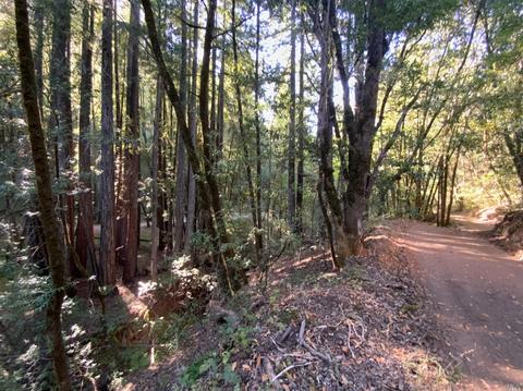 11050 Westside Rd, Healdsburg, CA 95448 photo 50