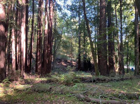 11050 Westside Rd, Healdsburg, CA 95448 photo 42