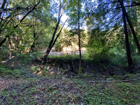 11050 Westside Rd, Healdsburg, CA 95448 photo 34