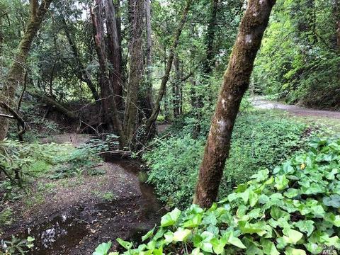 11050 Westside Rd, Healdsburg, CA 95448 photo 17