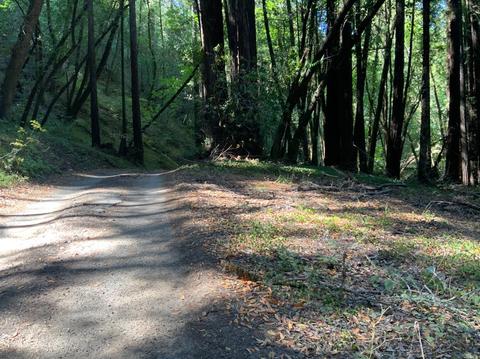 11050 Westside Rd, Healdsburg, CA 95448 photo 35