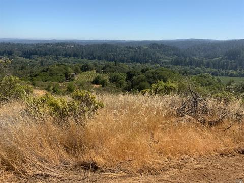 11050 Westside Rd, Healdsburg, CA 95448 photo 30