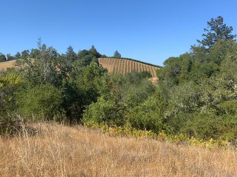 11050 Westside Rd, Healdsburg, CA 95448 photo 28
