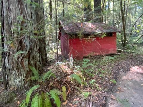 11050 Westside Rd, Healdsburg, CA 95448 photo 37