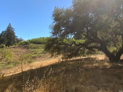 11050 Westside Rd, Healdsburg, CA 95448 photo 45