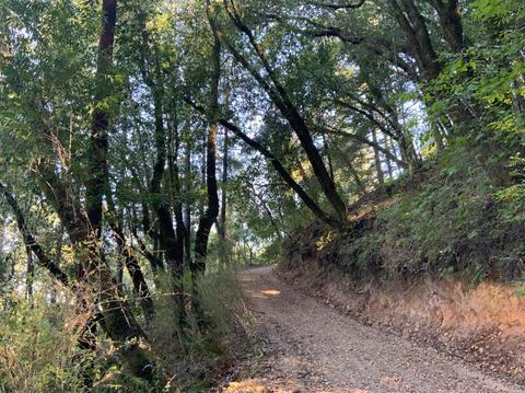 11050 Westside Rd, Healdsburg, CA 95448 photo 43