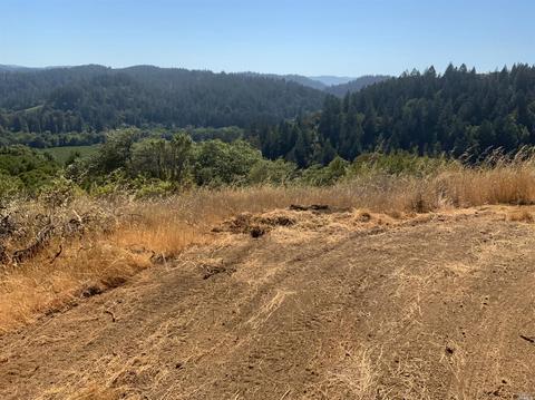 11050 Westside Rd, Healdsburg, CA 95448 photo 31