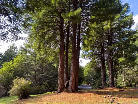 340 Halcyon, The Sea Ranch, CA 95497