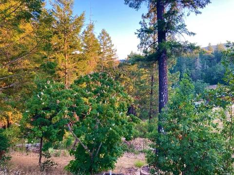 1561 Casteel Dr, Willits, CA 95490 photo 32