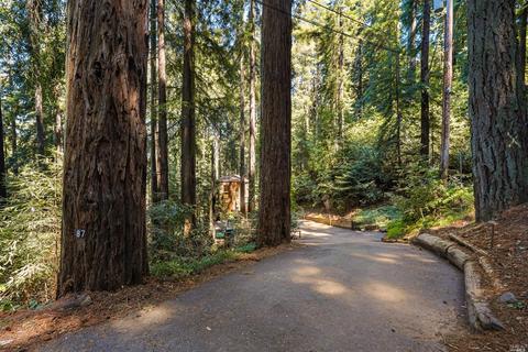 87 Juniper Ave, San Geronimo, CA 94963 photo 36