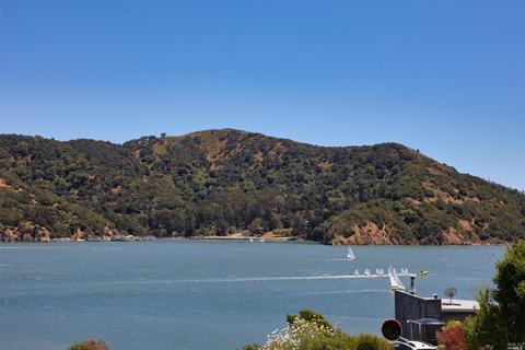 2381 Mar East St, Tiburon, CA 94920 photo 42