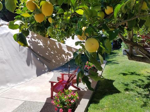 255 E L St, Benicia, CA 94510 photo 30